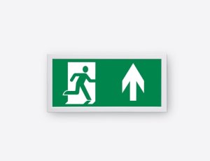 RS PRO 应急照明灯