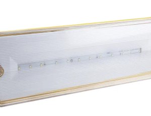 RS PRO LED应急照明灯